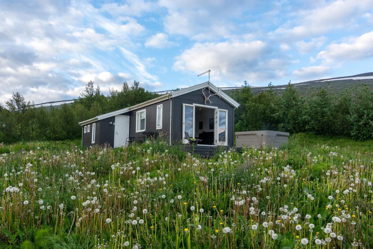 Viking Cottages & Apartments Akureyri Luaran gambar