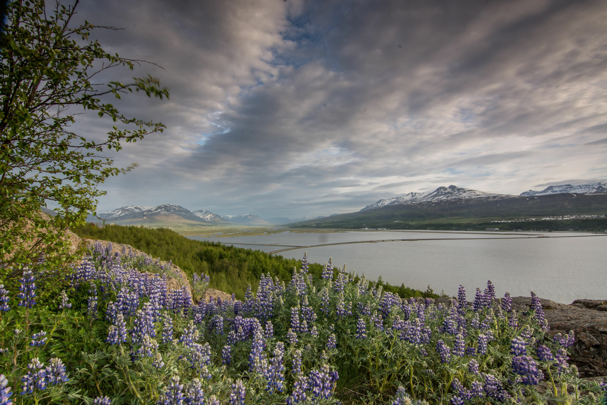 Viking Cottages & Apartments Akureyri Luaran gambar